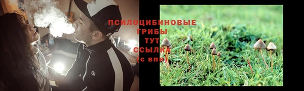 прущий лед Россошь
