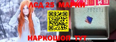 гидропоника Гусев