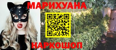 гидропоника Гусев