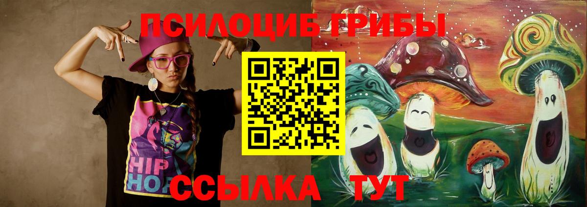 Псилоцибиновые грибы Cubensis  Галлюциногенные грибы Psilocybe  Сибай 